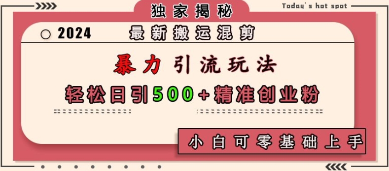 最新搬运混剪暴力引流玩法，轻松日引500+精准创业粉，小白可零基础上手-万利网