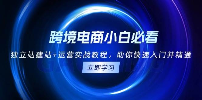 跨境电商小白必看！独立站建站+运营实战教程，助你快速入门并精通-万利网