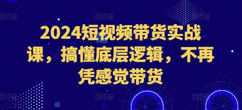 2024短视频带货实战课，搞懂底层逻辑，不再凭感觉带货-万利网