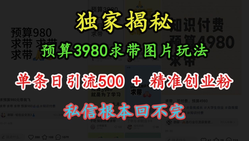 预算3980求带 图片玩法，单条日引流500+精准创业粉，私信根本回不完-万利网