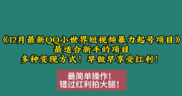 12月最新QQ小世界短视频暴力起号项目，最适合新手的项目，多种变现方式-万利网