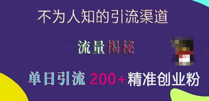 不为人知的引流渠道，流量揭秘，实测单日引流200+精准创业粉【揭秘】-万利网