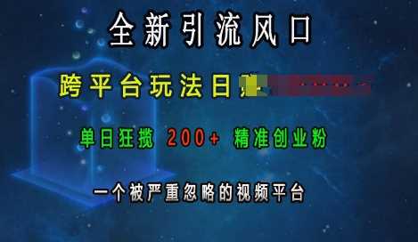 全新引流风口，跨平台玩法日入上k，单日狂揽200+精准创业粉，一个被严重忽略的视频平台-万利网