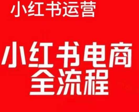 红薯电商实操课，小红书电商全流程-万利网