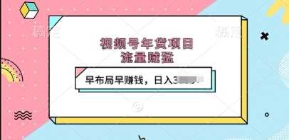 视频号年货项目，流量贼猛，早布局早挣钱，日入上k【揭秘】-万利网