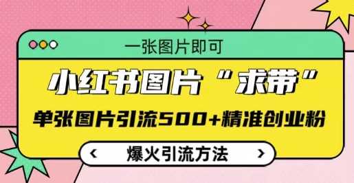 小红书图片‘求带’爆火引流法，单张图片引流500+精准创业粉【揭秘】-万利网