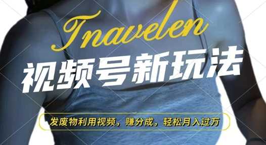 视频号新玩法，废物利用视频，撸分成收益，轻松月入过W【揭秘】-万利网