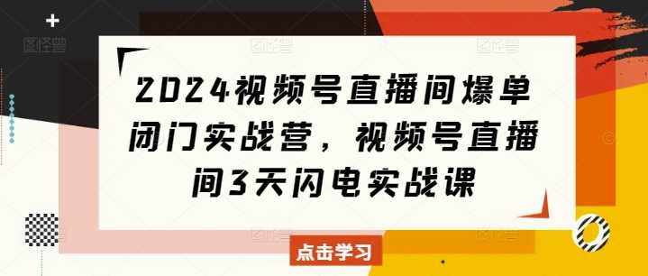 2024视频号直播间爆单闭门实战营，视频号直播间3天闪电实战课-万利网
