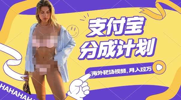 利用海外靶场射击视频，挣支付宝分成收益，轻松月入过W【揭秘】-万利网