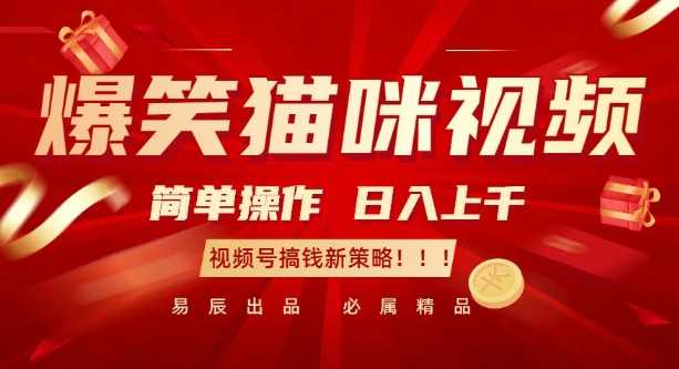 爆笑猫咪视频：简单操作，日入过K，视频号搞钱新策略【揭秘】-万利网