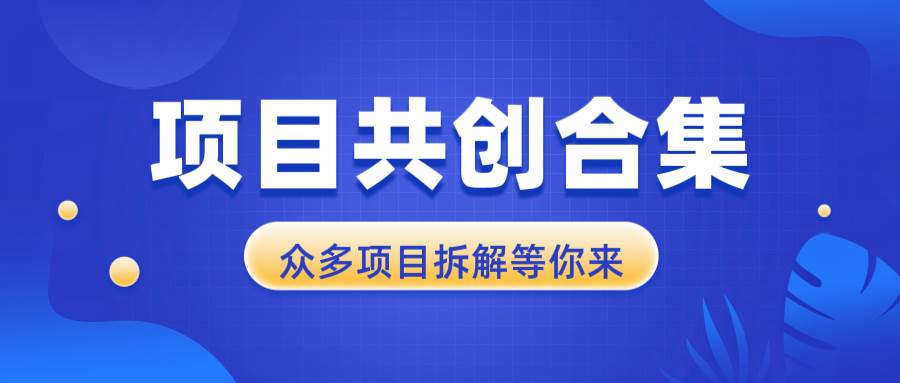 项目共创合集，从0-1全过程拆解，让你迅速找到适合自已的项目-万利网