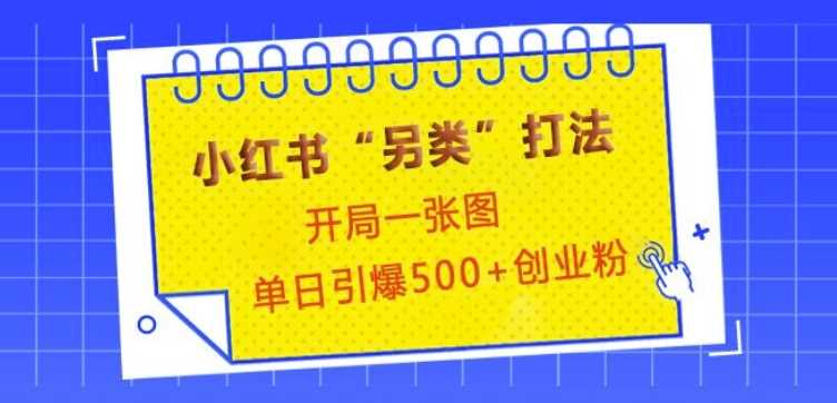 小红书“另类”打法，开局一张图，单日引爆500+精准创业粉【揭秘】-万利网