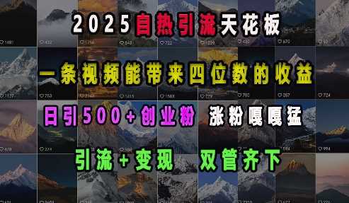 2025自热引流天花板，一条视频能带来四位数的收益，引流+变现双管齐下，日引500+创业粉，涨粉嘎嘎猛-万利网