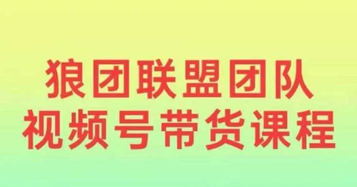 狼团联盟2024视频号带货，0基础小白快速入局视频号-万利网
