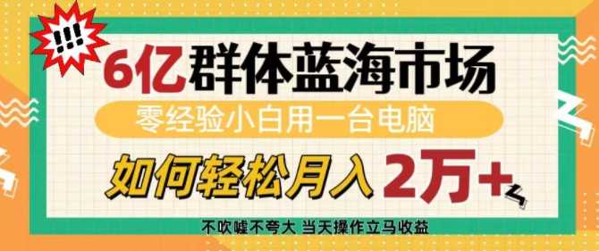 6亿群体蓝海市场，零经验小白用一台电脑，如何轻松月入过w【揭秘】-万利网