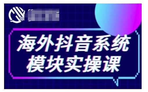 海外抖音Tiktok系统模块实操课，TK短视频带货，TK直播带货，TK小店端实操等-万利网