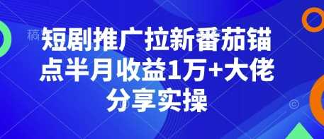 短剧推广拉新番茄锚点半月收益1万+大佬分享实操-万利网