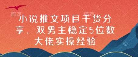 小说推文项目干货分享，双男主稳定5位数大佬实操经验-万利网