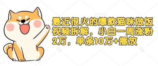 最近很火的爆款猫咪做饭视频拆解，小白一周涨粉2万，单条10万+播放(附保姆级教程)-万利网