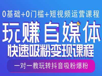 0基础+0门槛+短视频运营课程，玩赚自媒体快速吸粉变现课程，一对一教玩转抖音吸粉爆粉-万利网