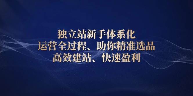 独立站新手体系化 运营全过程，助你精准选品、高效建站、快速盈利-万利网