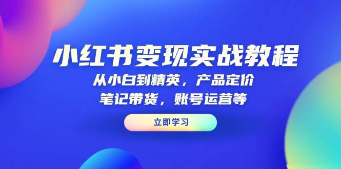 小红书变现实战教程：从小白到精英，产品定价，笔记带货，账号运营等-万利网