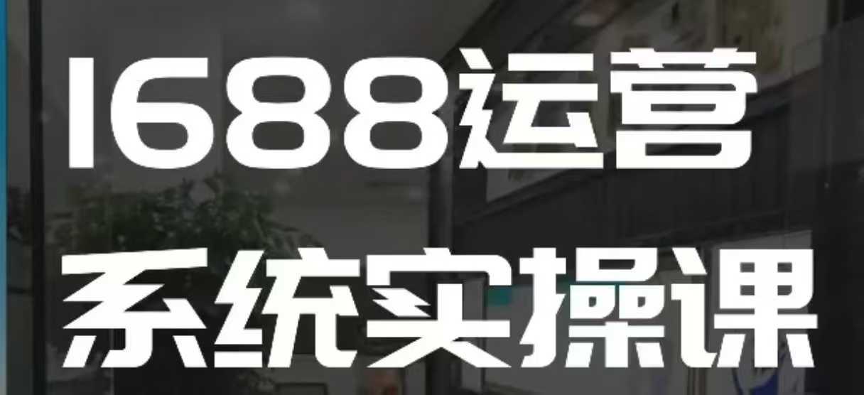 1688高阶运营系统实操课，快速掌握1688店铺运营的核心玩法-万利网