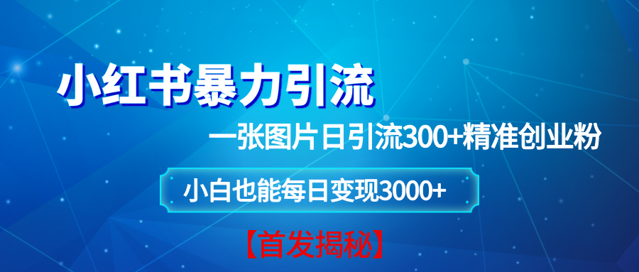 小红书暴力引流法，一张图片日引 300+精准创业粉，每日稳定变现 3000+【揭秘】-万利网