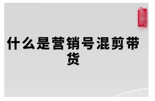 营销号混剪带货，从内容创作到流量变现的全流程，教你用营销号形式做混剪带货-万利网