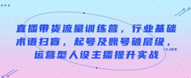 直播带货流量训练营，行业基础术语扫盲，起号及账号破层级，运营型人设主播提升实战-万利网