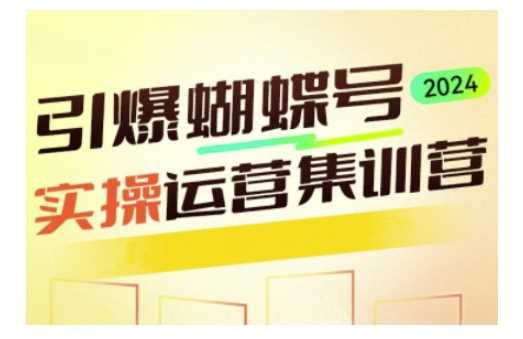 引爆蝴蝶号实操运营，助力你深度掌握蝴蝶号运营，实现高效实操，开启流量变现之路-万利网