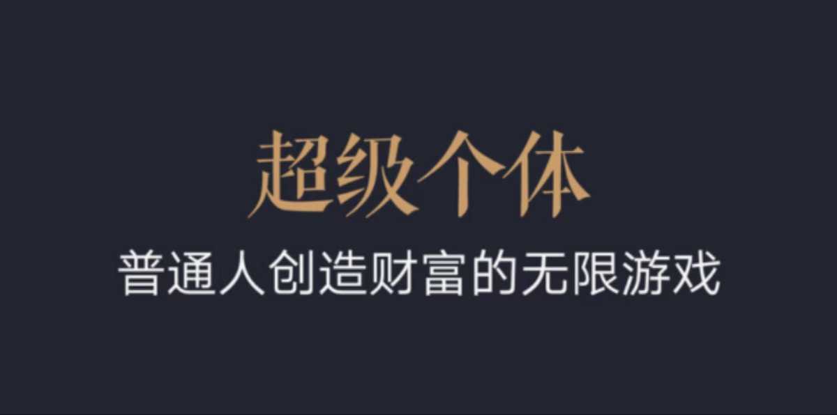 超级个体：2024-2025翻盘指南，普通人创造财富的无限游戏-万利网