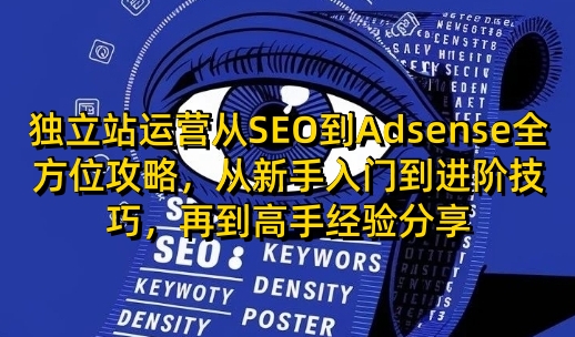 独立站运营从SEO到Adsense全方位攻略，从新手入门到进阶技巧，再到高手经验分享-万利网