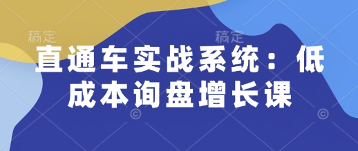 直通车实战系统：低成本询盘增长课，让个人通过技能实现升职加薪，让企业低成本获客，订单源源不断-万利网