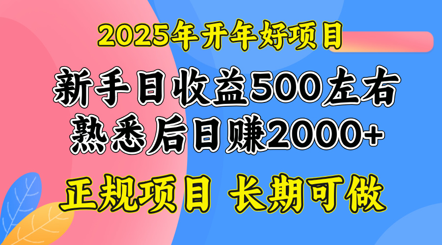 2025开年好项目，单号日收益2000左右-万利网