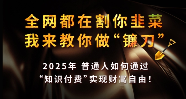 全网都在割你韭菜，我来教你做镰刀，2025年普通人如何通过 知识付费 实现财F自由【揭秘】-万利网
