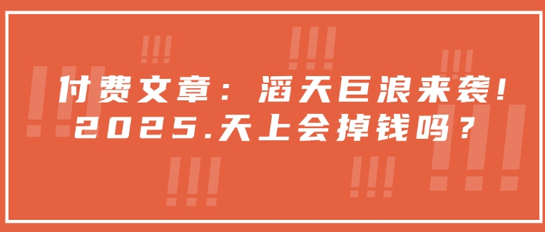 付费文章：滔天巨浪来袭！2025天上会掉钱吗？-万利网