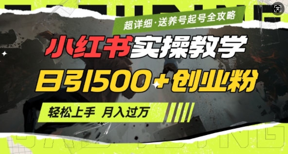 2月小红书最新日引500+创业粉实操教学【超详细】小白轻松上手，月入1W+，附小红书养号起号SOP-万利网