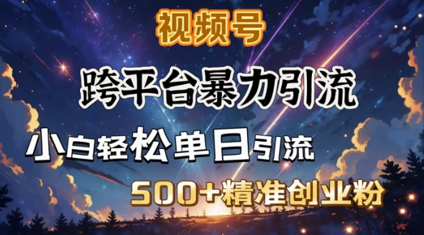 跨平台暴力引流，私域完美闭环，日引500+精准创业粉-万利网