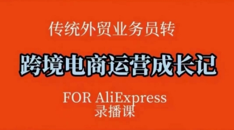 跨境电商速卖通运营课，​运营方法论+后台实操，逻辑清晰-万利网