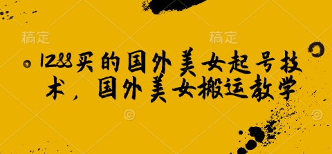 1288买的国外美女起号技术，国外美女搬运教学-万利网