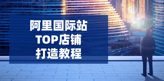 阿里国际站TOP店铺打造教程：涵盖平台到高阶，解决运营难题，提升询盘-万利网