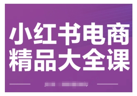 小红书电商精品大全课，快速掌握小红书运营技巧，实现精准引流与爆单目标，轻松玩转小红书电商(更新2月)-万利网
