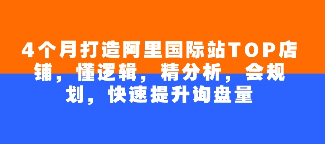 4个月打造阿里国际站TOP店铺，懂逻辑，精分析，会规划，快速提升询盘量-万利网