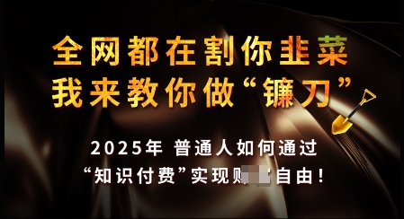知识付费如何做到月入过W+，2025我来教你做“镰刀”【揭秘】-万利网