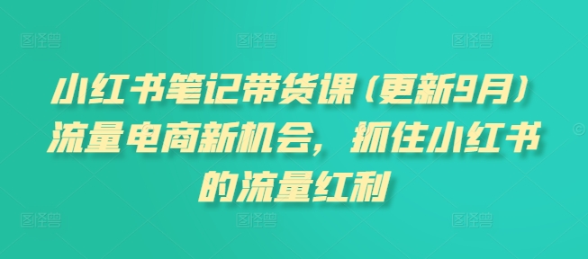 小红书笔记带货课(更新25年2月)流量电商新机会，抓住小红书的流量红利-万利网