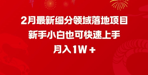 2月最新细分领域落地项目，新手小白也可快速上手，月入1W-万利网