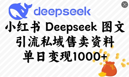 小红书Deepseek图文引流私域售卖资料，单日变现多张-万利网