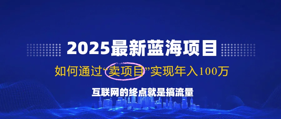 2025最新蓝海项目，零门槛轻松复制，月入10万+，新手也能操作！-万利网