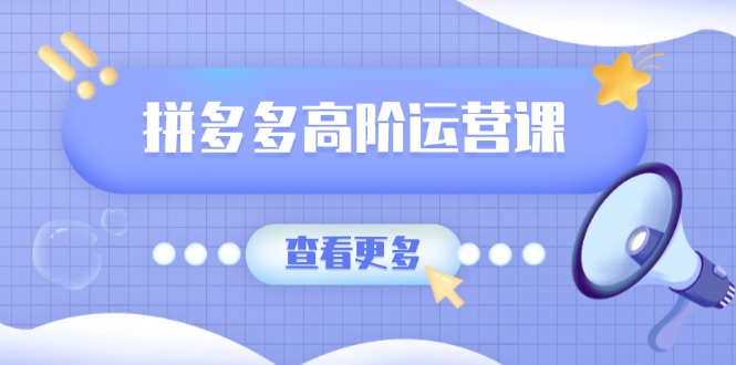 拼多多高阶运营课：极致群爆款玩法，轻付费无尽复制，打造单品爆款之路-万利网